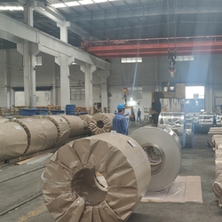 Trung Quốc Jiangsu Senyilu Metal Material Co., Ltd.